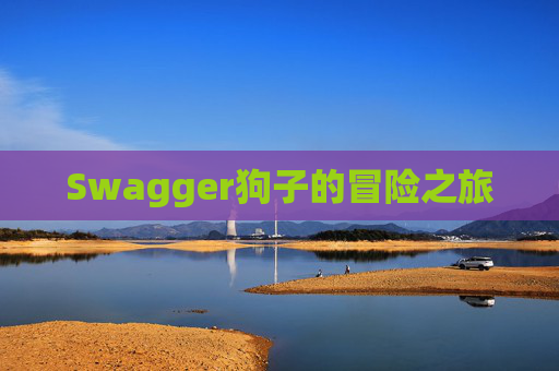 Swagger狗子的冒险之旅